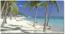 all inclusive punta cana vacation